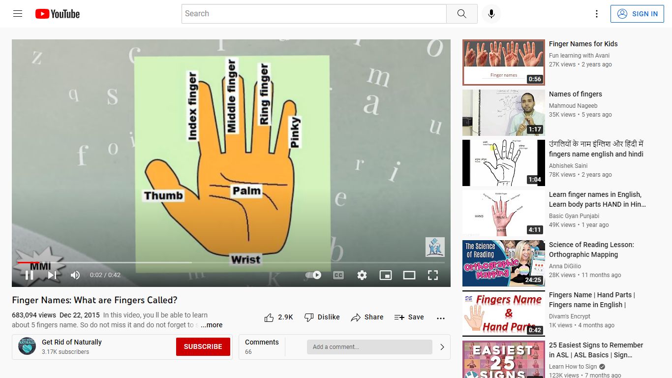 Finger Names: What are Fingers Called? - YouTube